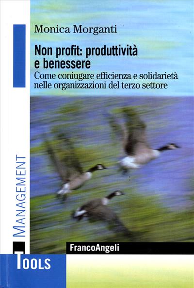 Non profit: produttivita' e benessere