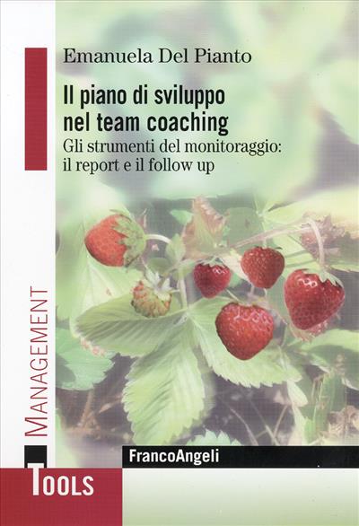 Il piano di sviluppo nel team coaching.