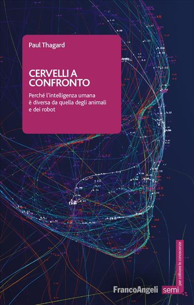 Cervelli a confronto