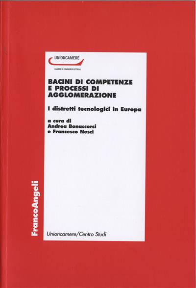 Bacini di competenze e processi di agglomerazione