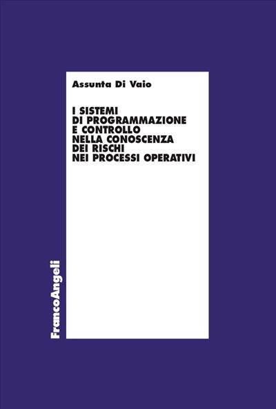 I sistemi di programmazione e controllo nella conoscenza dei rischi nei processi operativi