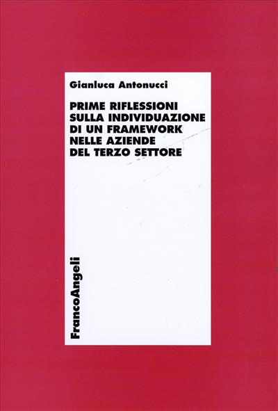 Prime riflessioni sull'individuazione di un framework nelle aziende del terzo settore