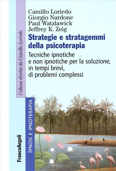 Strategie e stratagemmi della psicoterapia