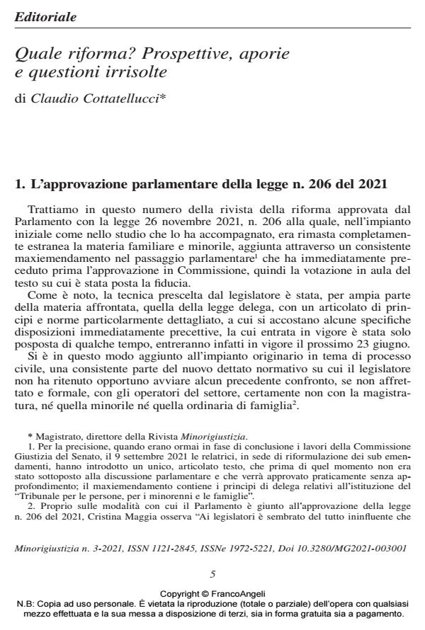 Anteprima articolo