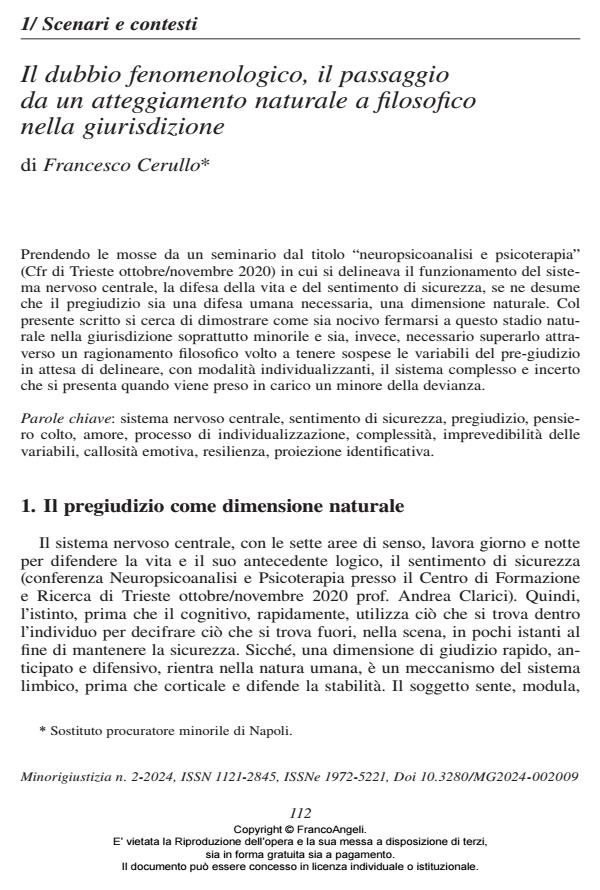 Anteprima articolo