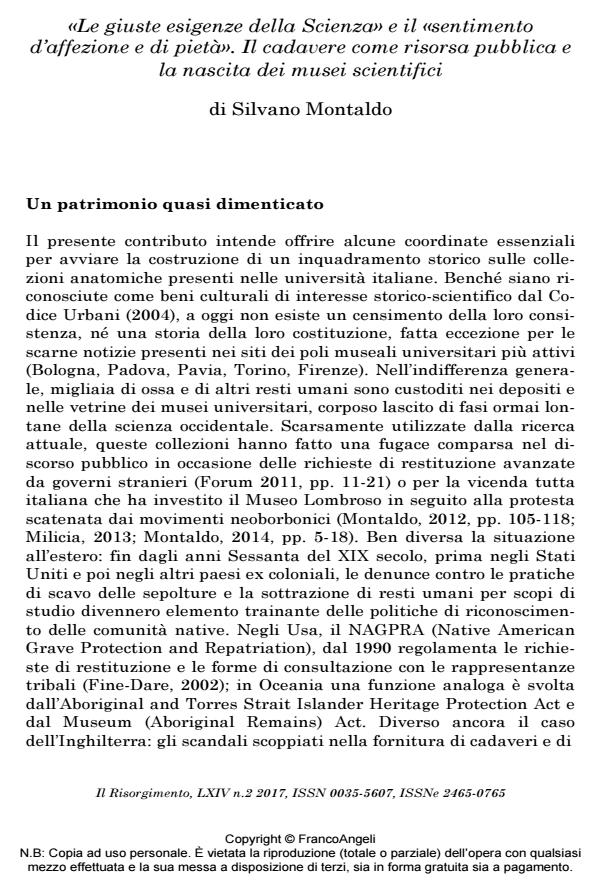 Anteprima articolo